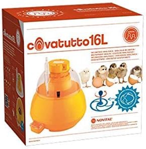 Incubadora Covatutto 16 Especial